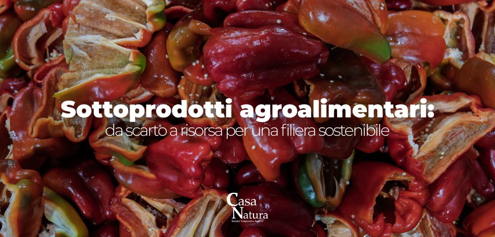 Sottoprodotti agroalimentari: da scarto a risorsa per una filiera sostenibile